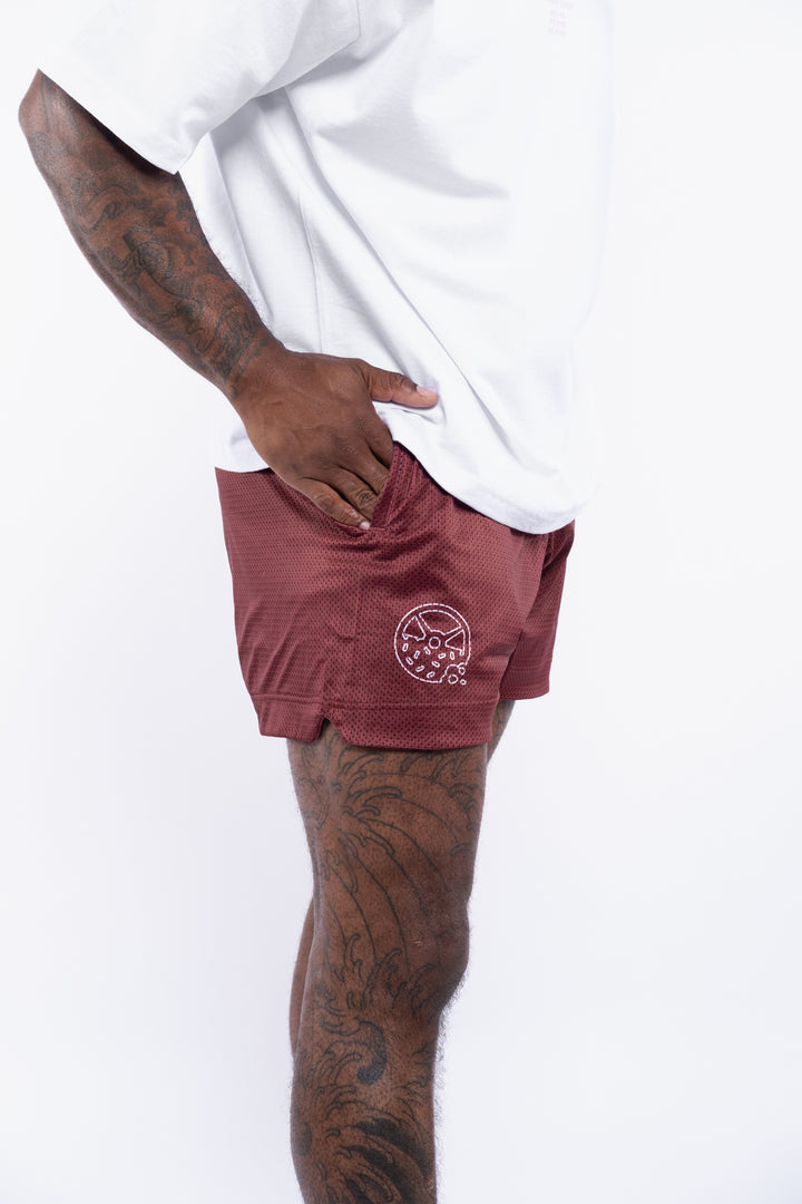 Celsius Signature 5.5" Mesh Shorts