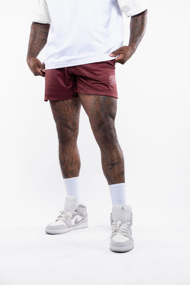 Celsius Signature 5.5" Mesh Shorts