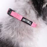 Sprinkles Dog Collar