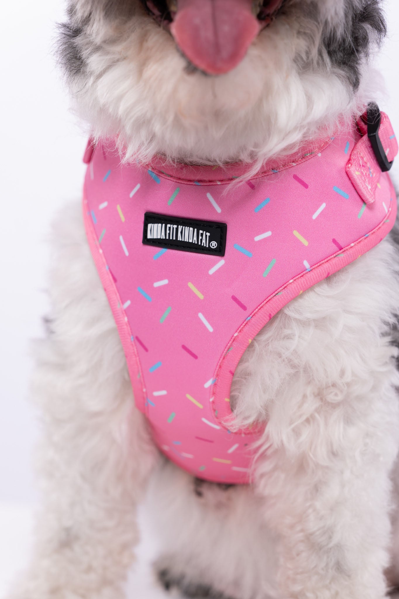 Sprinkle Dog Harness