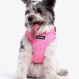 Sprinkle Dog Harness