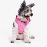 Sprinkle Dog Harness
