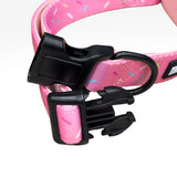 Sprinkles Dog Collar