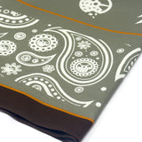 Earth Paisley Bandana