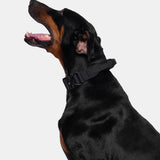 KFKF Tactical Dog Collar