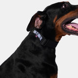 KFKF Tactical Dog Collar