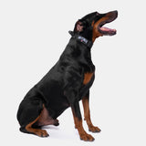 KFKF Tactical Dog Collar