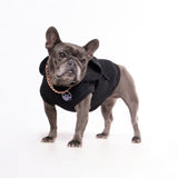 Fahrenheit Dog Hoodie