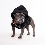 Fahrenheit Dog Hoodie