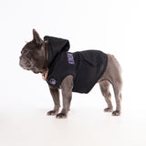 Fahrenheit Dog Hoodie